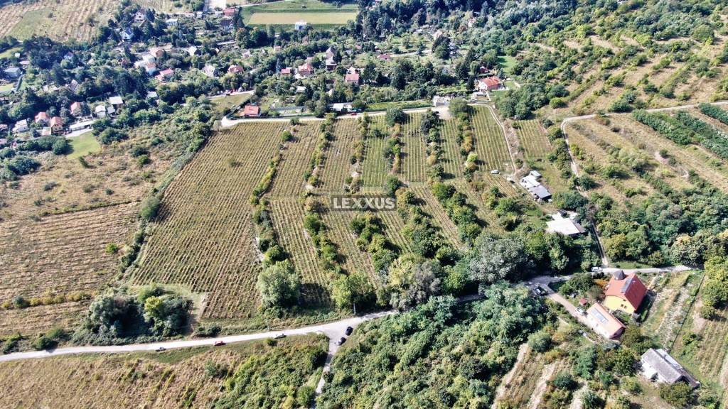 PREDAJ pozemok - vinice vo Vinohradoch BA Nové Mesto