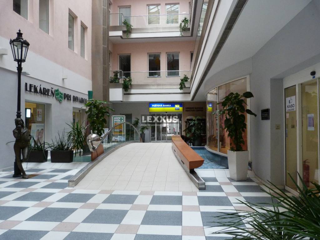 P1240520.JPG