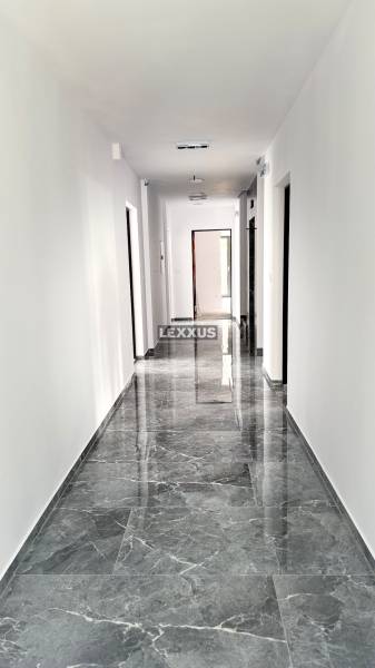 IMG_2319.jpeg